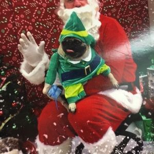 Meet your Posher, Gail